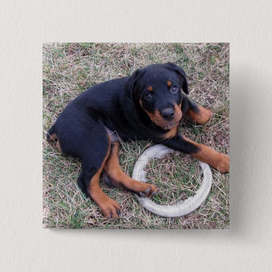 Heidi Rottweiler "Innocent" Button (Voorkant)