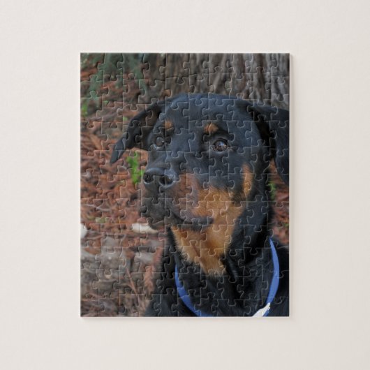 Heidi Rottweiler Puzzle Legpuzzel (Verticaal)