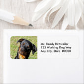 Heidi Rottweiler Return Address Labels (Insitu)