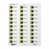 Heidi Rottweiler Return Address Labels (Full Sheet)