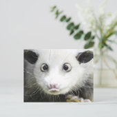 Heidi The Cross Eyed Opossum Briefkaart (Staand voorkant)