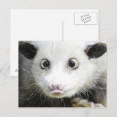 Heidi The Cross Eyed Opossum Briefkaart (Voorkant / Achterkant)
