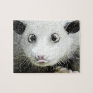 Heidi The Cross Eyed Opossum Legpuzzel