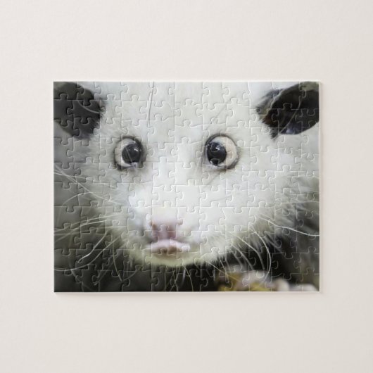 Heidi The Cross Eyed Opossum Legpuzzel (Horizontaal)