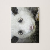 Heidi The Cross Eyed Opossum Legpuzzel (Verticaal)