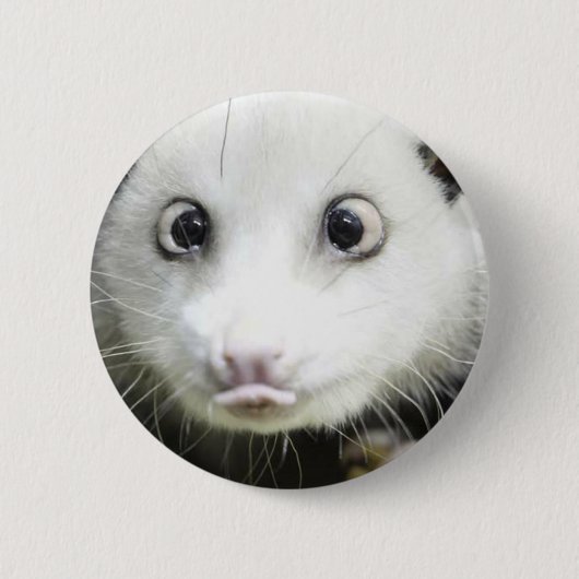 Heidi The Cross Eyed Opossum Ronde Button 5,7 Cm (Voorkant)