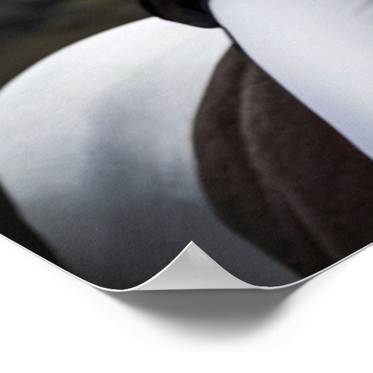 Heidrun's lift poster (Hoek)