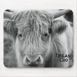 Heilan' Coo Muismat