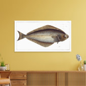 heilbot (Pleuronectes Hippoglossus) bord XLVII fr Canvas Afdruk (Insitu (Woonkamer))