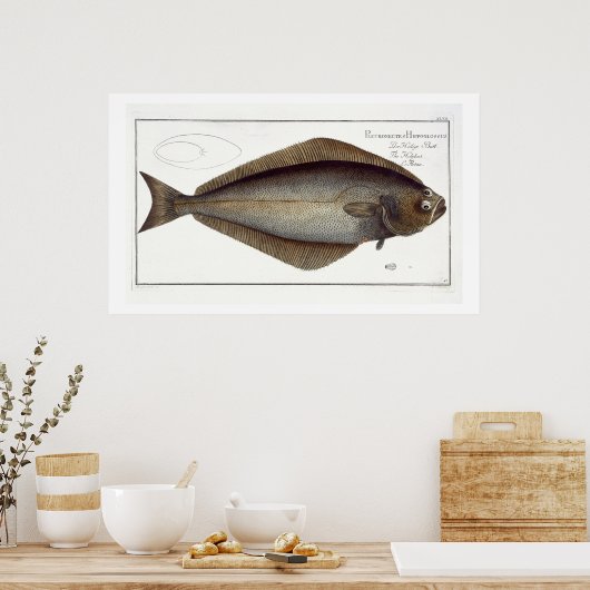 heilbot (Pleuronectes Hippoglossus) bord XLVII fr Poster (Keuken)