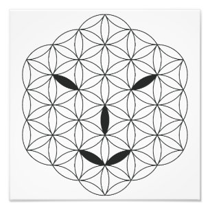 Heilig gezicht - Arcturian 02, Black-Tr. Foto Afdruk