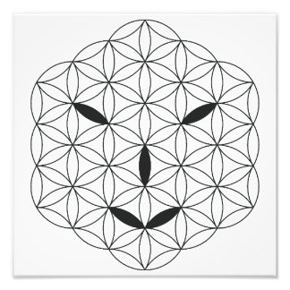 Heilig gezicht - Arcturian 02, Black-Tr. Foto Afdruk