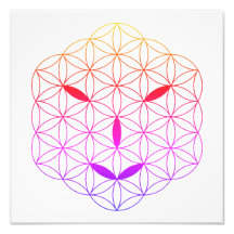 Heilig gezicht - Arcturian 02, CF-Tr.