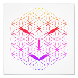 Heilig gezicht - Arcturian 02, CF-Tr. Foto Afdruk