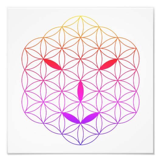 Heilig gezicht - Arcturian 02, CF-Tr. Foto Afdruk (Voorkant)