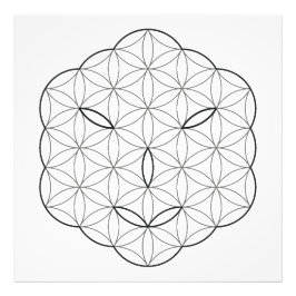 Heilig Gezicht - Arcturian, Bl-Tr. Foto Afdruk