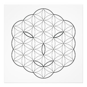 Heilig Gezicht - Arcturian, Bl-Tr. Foto Afdruk
