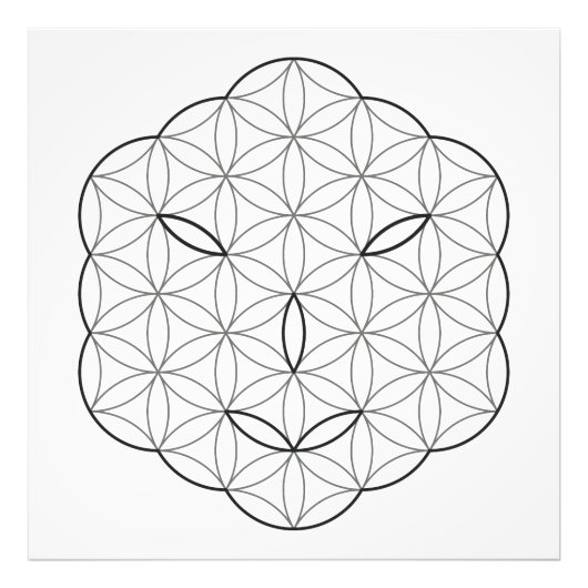 Heilig Gezicht - Arcturian, Bl-Tr. Foto Afdruk (Voorkant)