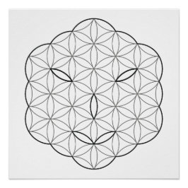 Heilig Gezicht - Arcturian, Bl-Tr. Perfect Poster