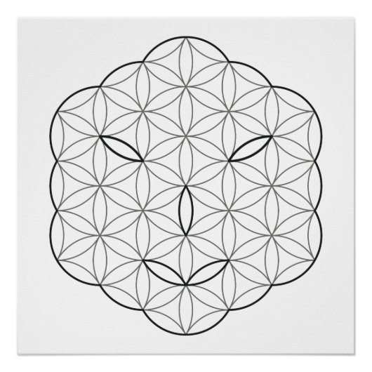 Heilig Gezicht - Arcturian, Bl-Tr. Perfect Poster (Voorkant)