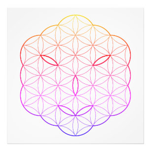 Heilig Gezicht - Arcturian, Cl-Tr. Foto Afdruk