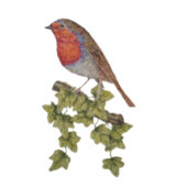 heilig met schattige robijn in het wild op kerst keramisch ornament