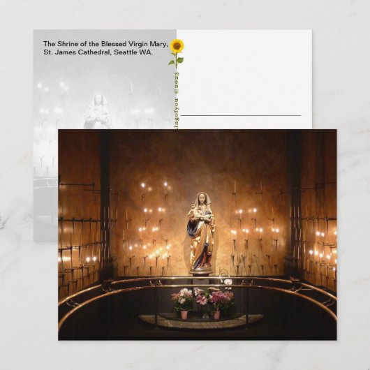 Heiligdom van de Heilige Maagd Maria, Seattle, WA  Briefkaart (Voorkant / Achterkant)