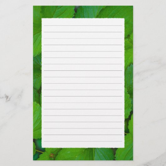 Heilige Basilicum Tulsi groene munt bladeren Briefpapier (Voorkant)