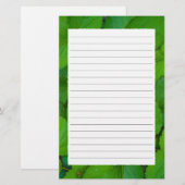Heilige Basilicum Tulsi groene munt bladeren Briefpapier (Voorkant / Achterkant)