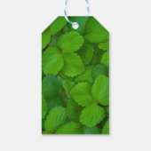 Heilige Basilicum Tulsi groene munt bladeren Cadeaulabel (Achterkant)