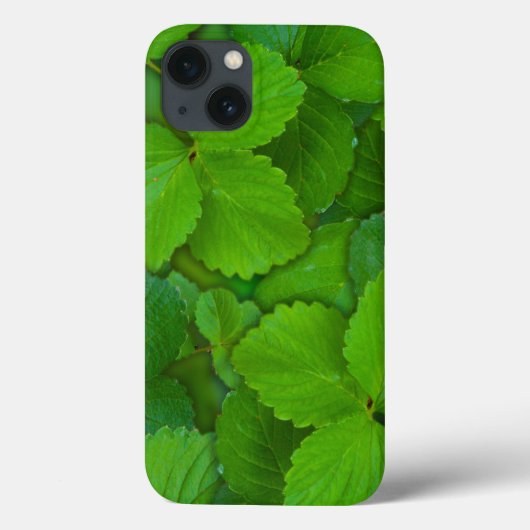 Heilige Basilicum Tulsi groene munt bladeren Case-Mate iPhone Case (Achterkant)