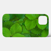 Heilige Basilicum Tulsi groene munt bladeren Case-Mate iPhone Case (Achterkant (horizontaal))