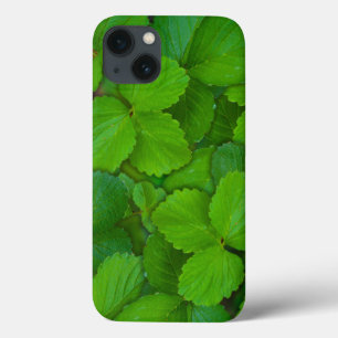 Heilige Basilicum Tulsi groene munt bladeren Case-Mate iPhone Case