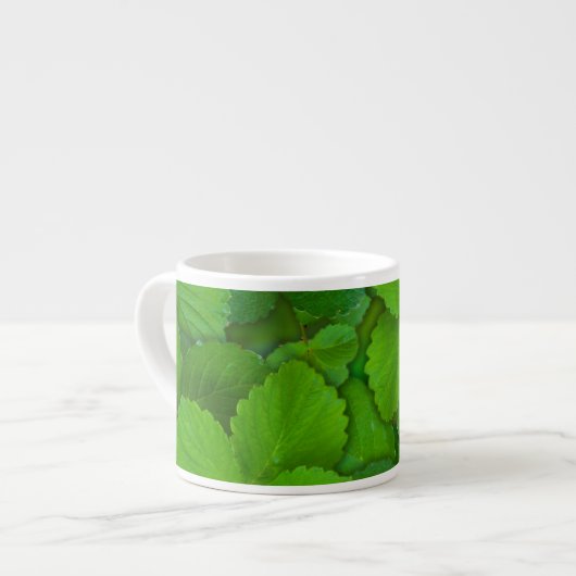 Heilige Basilicum Tulsi groene munt bladeren Espresso Kop (Links)