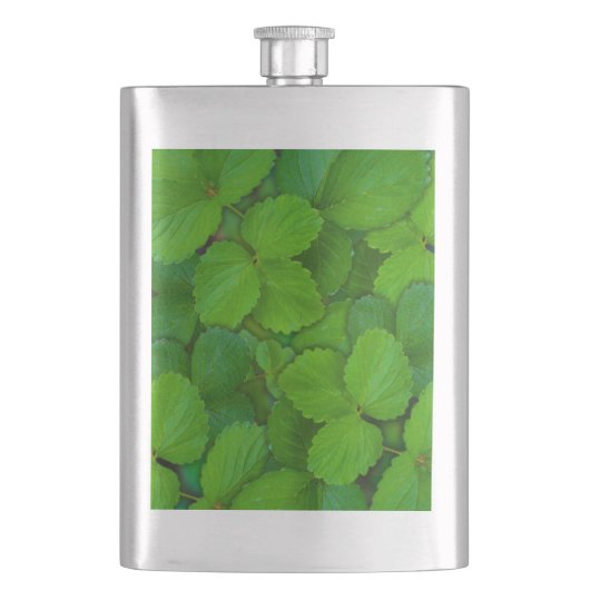 Heilige Basilicum Tulsi groene munt bladeren Heupfles (Voorkant)