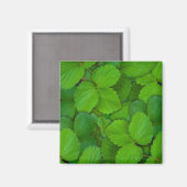 Heilige Basilicum Tulsi groene munt bladeren Magneet (Voorkant / Achterkant)
