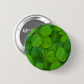 Heilige Basilicum Tulsi groene munt bladeren Ronde Button 5,7 Cm (Voorkant /achterkant)