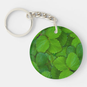 Heilige Basilicum Tulsi groene munt bladeren Sleutelhanger