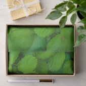 Heilige Basilicum Tulsi groene munt bladeren Tissuepapier (Geschenk)