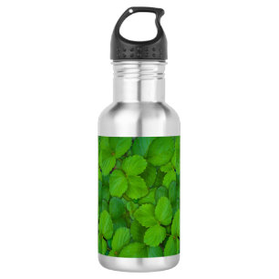 Heilige Basilicum Tulsi groene munt bladeren Waterfles