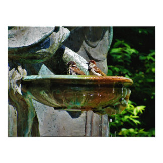 Heilige Bath Foto Afdruk