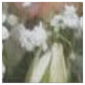 Heilige Bijbel Floral Stof (Close Up)