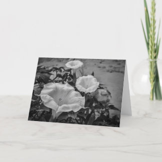 Heilige Doornappel Kaart