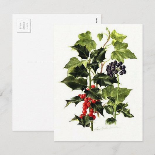 heilige en ive kerstmis feestdagenkaart (Voorkant / Achterkant)