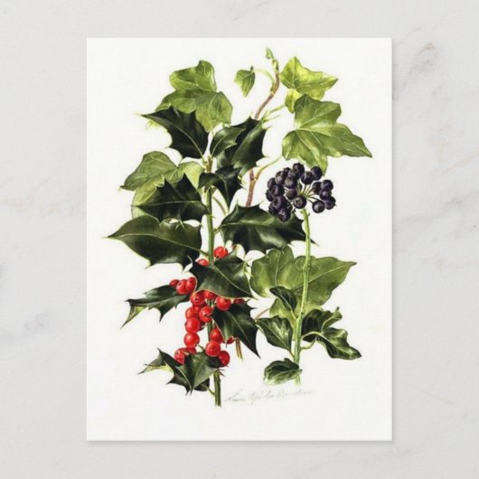 heilige en ive kerstmis feestdagenkaart (Voorkant)