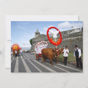 Heilige Geest festiviteiten