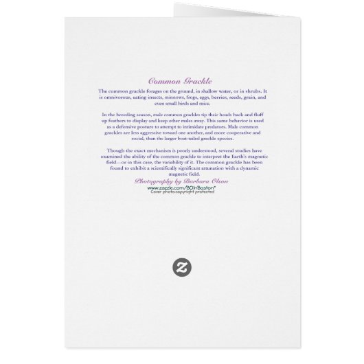 Heilige Grackle! Je studeert af: (Achterkant)