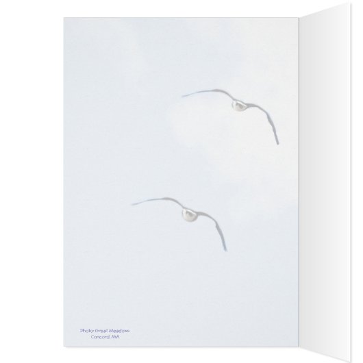 Heilige Grackle! Je studeert af: (Binnen (Links))