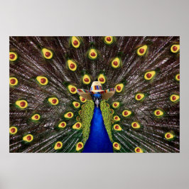 Heilige Guacamole Peacock Poster