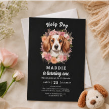 Heilige Hond, Ik Ben Eén! Hond Meisje 1e Verjaarda